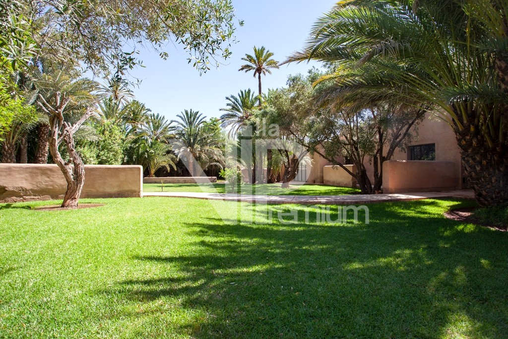 Villa d'exception, Palmeraie