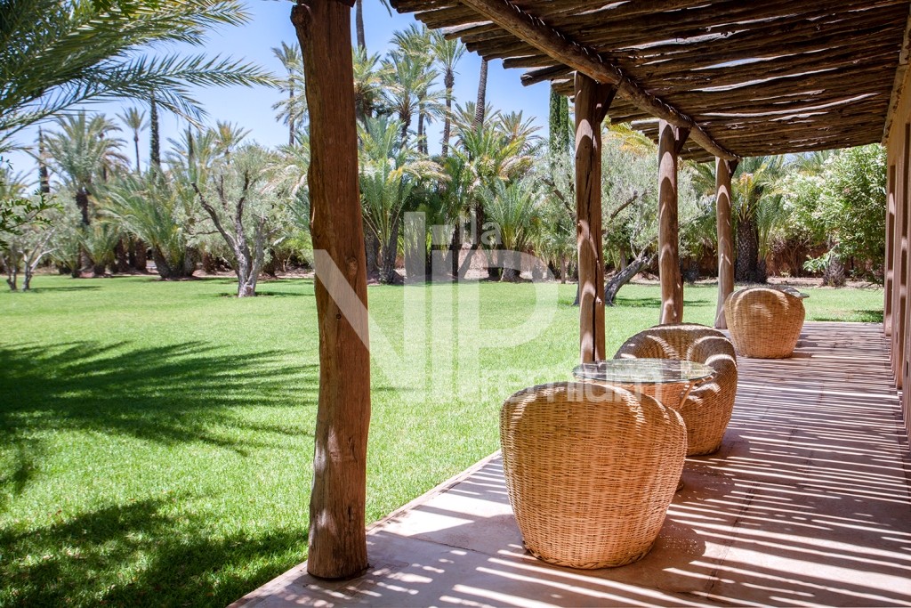 Villa d'exception, Palmeraie