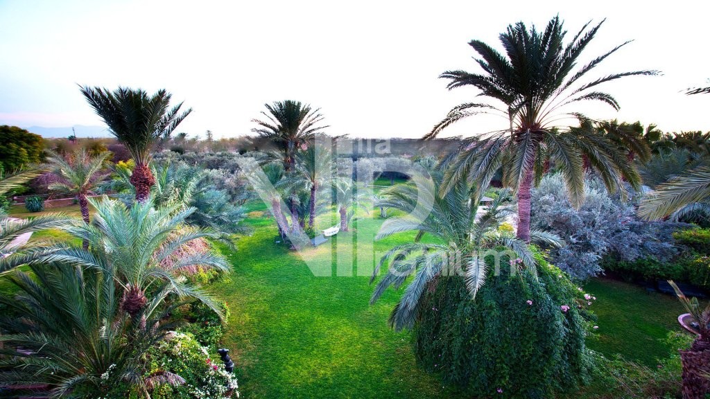 Villa d'exception, Palmeraie