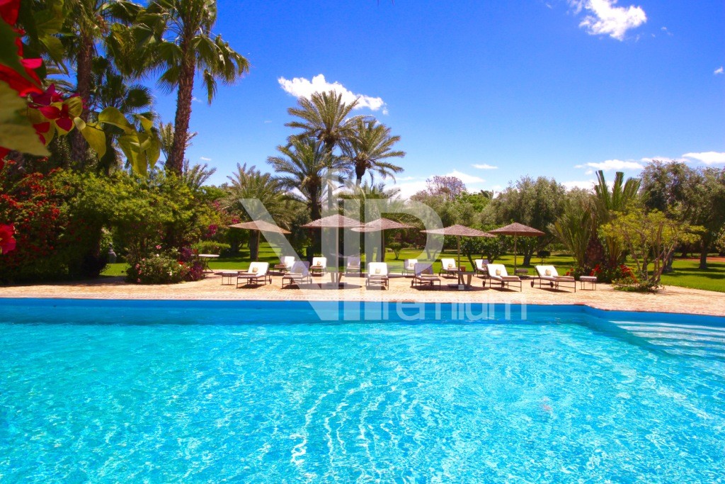 Villa d'exception, Palmeraie