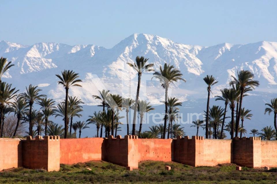 Villa d'exception, Royal Palm et ses environs