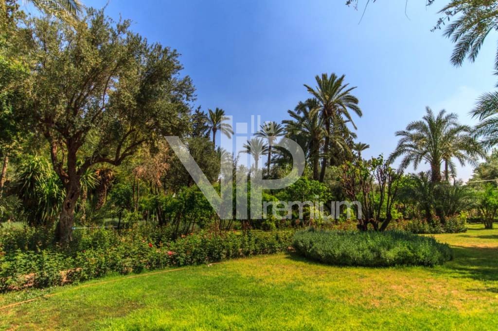 Villa d'exception, Palmeraie