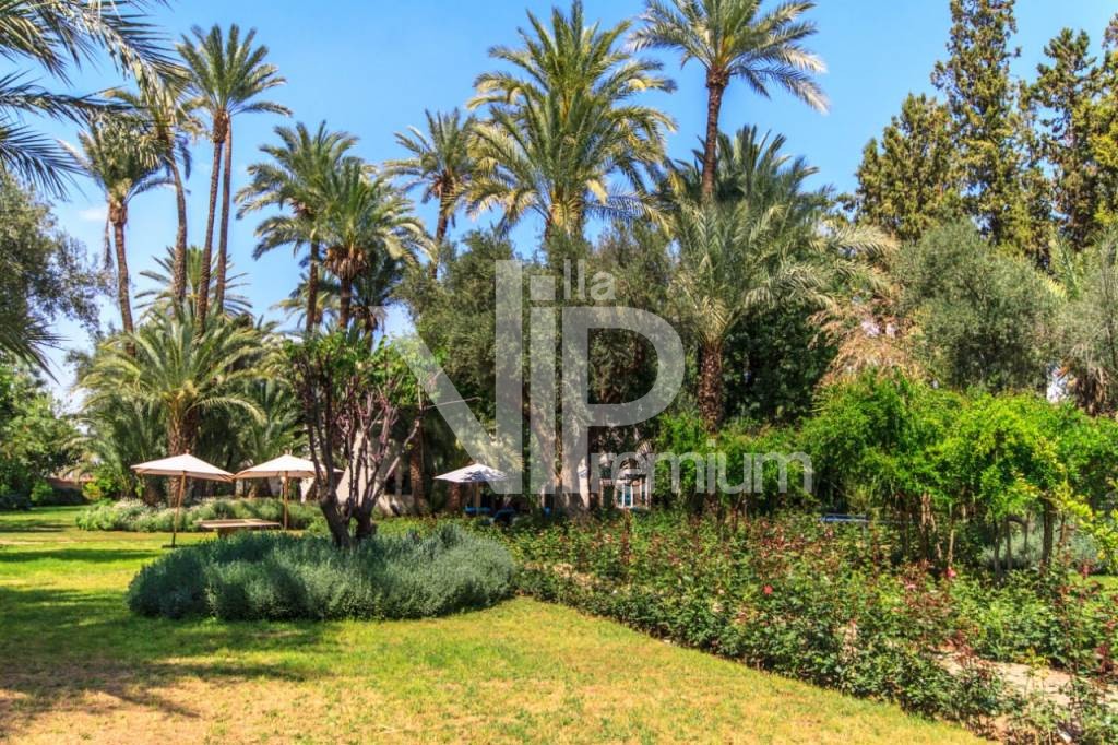 Villa d'exception, Palmeraie