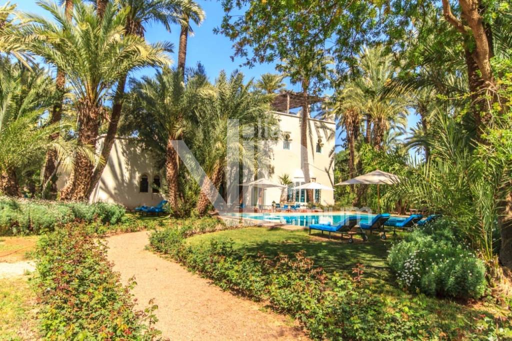 Villa d'exception, Palmeraie