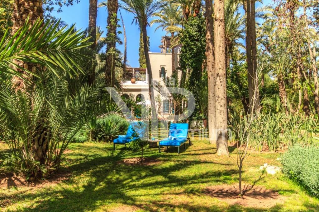 Villa d'exception, Palmeraie